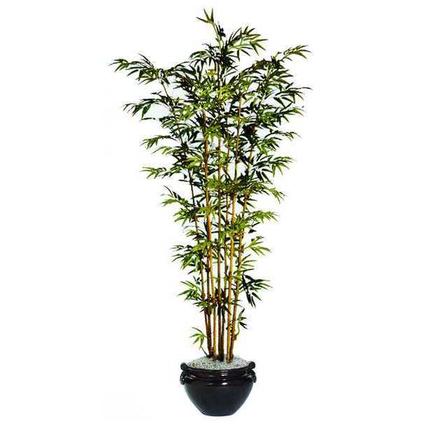 Nudell Bamboo Tree, Silk, 6 ft. w/insert T7789