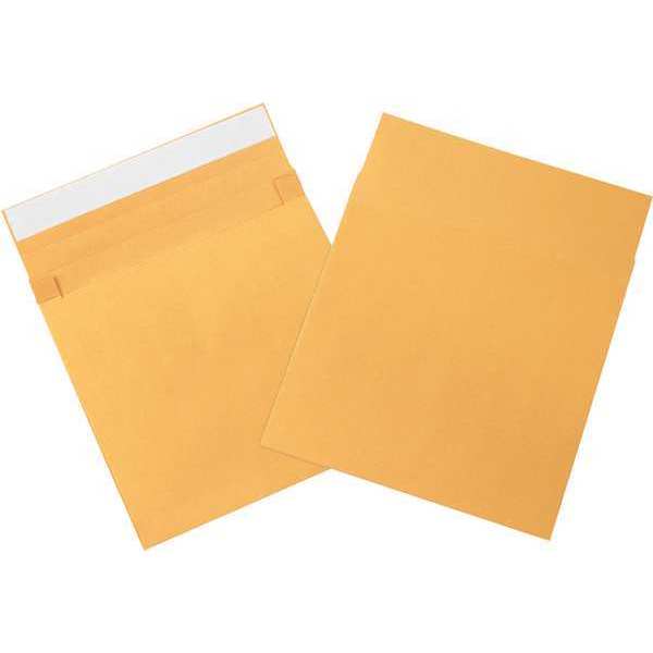 Partners Brand Expandable Self-Seal Envelopes, 10" x 12" x 2", Kraft, 100/Case EN1066