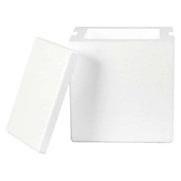 Partners Brand Insulated Foam Containers, 8" x 6" x 9", White, 8/Case 209F