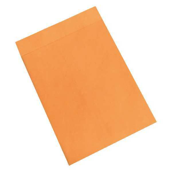 Partners Brand Jumbo Envelopes, 15" x 20", Kraft, 100/Case EN1082