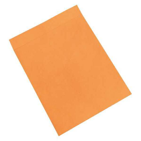 Partners Brand Jumbo Envelopes, 16" x 20", Kraft, 100/Case EN1083