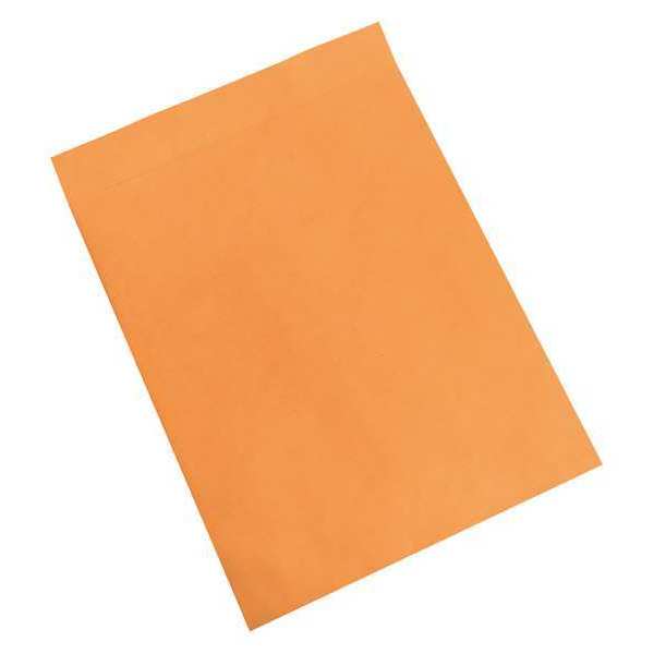 Partners Brand Jumbo Envelopes, 17" x 22", Kraft, 100/Case EN1084