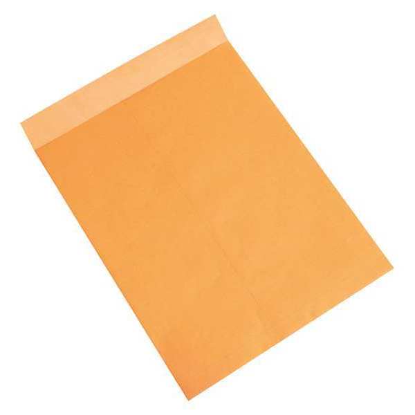 Partners Brand Jumbo Envelopes, 18" x 23", Kraft, 100/Case EN1085