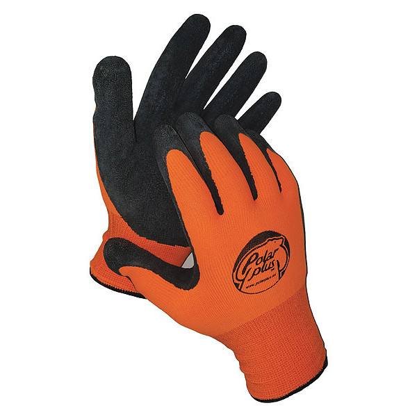 Polar Plus Cold Protection Gloves, Thermal Lining, L FG-1100-L
