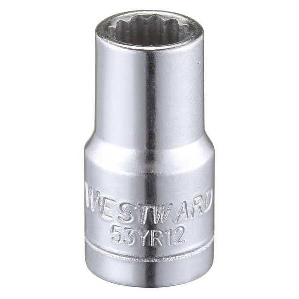 Westward 1/4 in Drive, 6mm Triple Square Metric Socket, 12 Points 53YR12