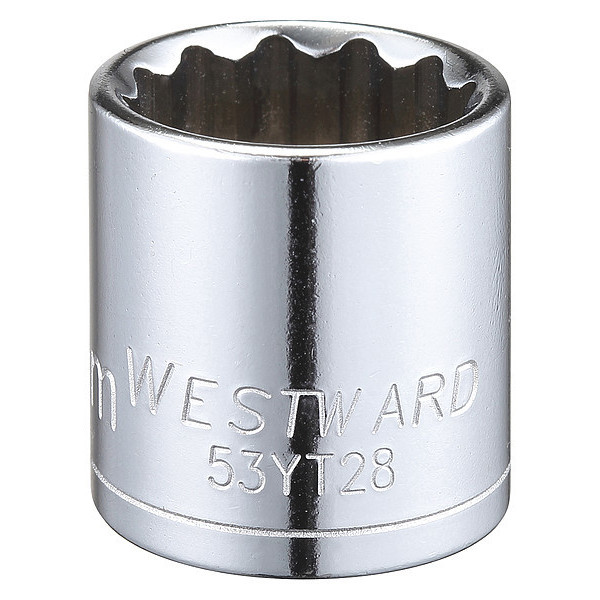 Westward 3/8 in Drive, 20mm Triple Square Metric Socket, 12 Points 53YT28