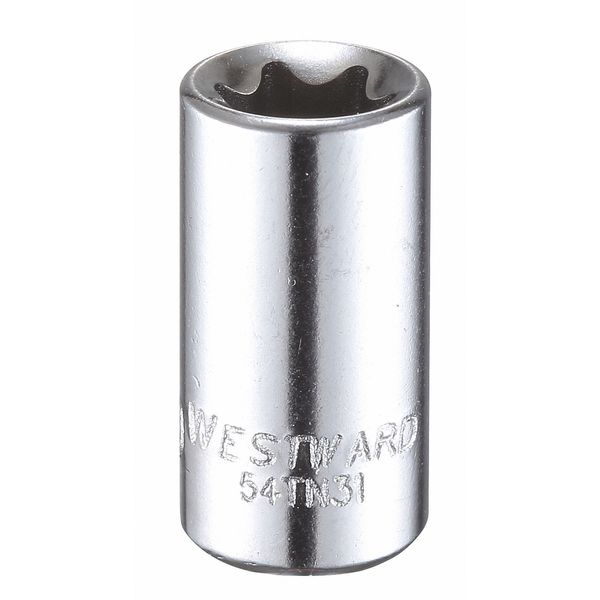 Westward 1/4 in Drive Torx(R) Socket SAE E-10 Tip, 1 7/32 in L 54TN31