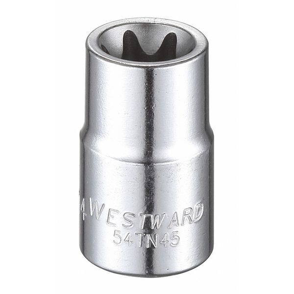 Westward 3/8 in Drive Torx(R) Socket SAE E-14 Tip, 1 1/4 in L 54TN45