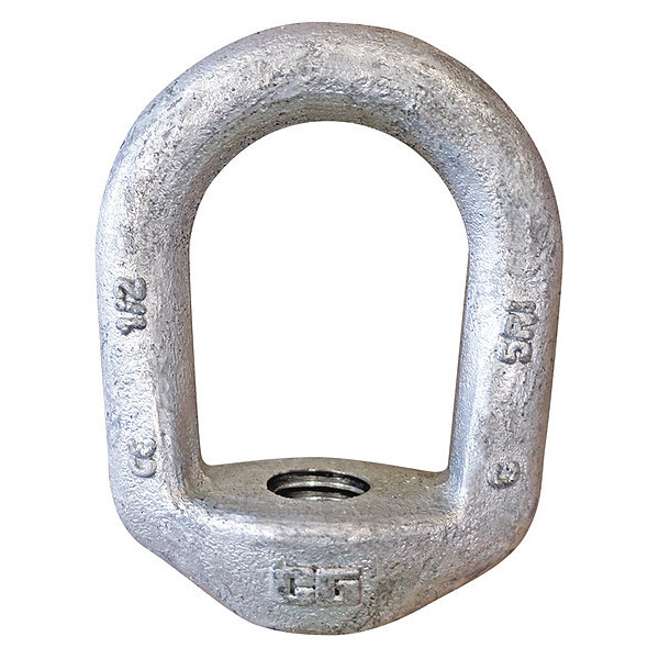 Crosby Oval Eye Nut, 7/8 Thread Size, 15/16 in Thread Lg, Steel, Hot  Dipped Galvanized 1090571