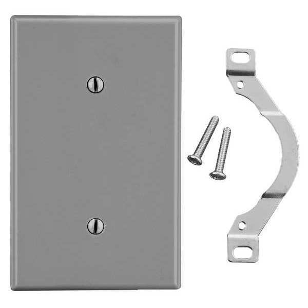 Hubbell Blank Strap Mount Wall Plate, Number of Gangs: 1 Plastic, Smooth Finish, Gray P14GY