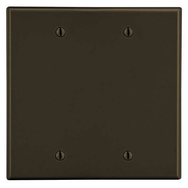 Hubbell Blank Box Mount Wall Plate, Number of Gangs: 2 Plastic, Smooth Finish, Brown PJ23