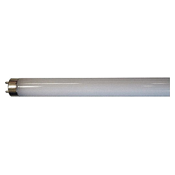 Shat-R-Shield LED, 12 W, T8, Medium Bi-Pin (G13) 06654E