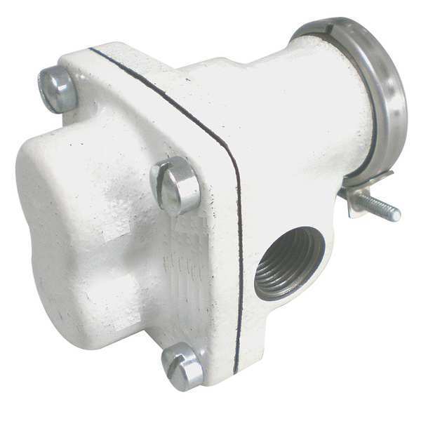 Dayton Gear Pump Head, NSF Listed 6DHH7