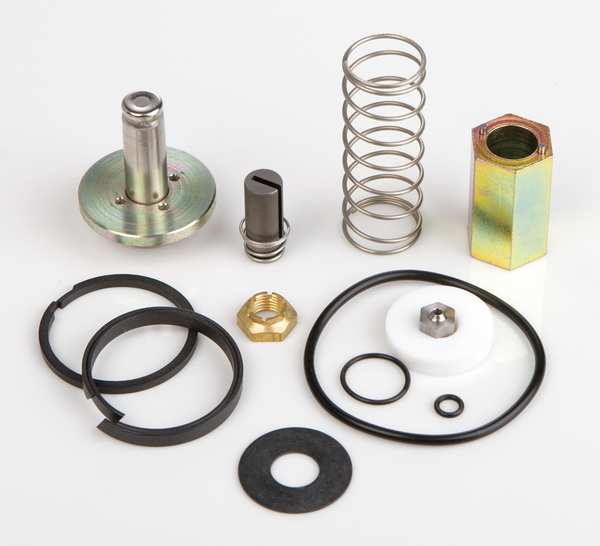 Asco Rebuild Kit 302303