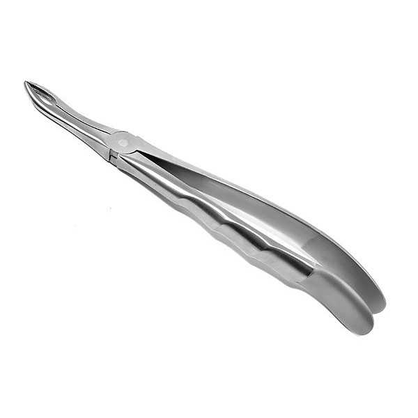 Cynamed Dental Extracting Forcep, #849, Anatomical CYZR-0867