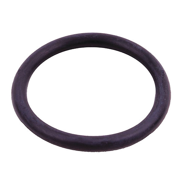 Thermo Fisher Scientific Sealing O-Ring W/Grease For Highconic 75003058