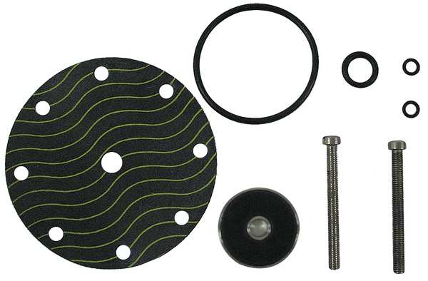 Watts Pilot Rebuild Kit, for use with G2232711 CP16RK