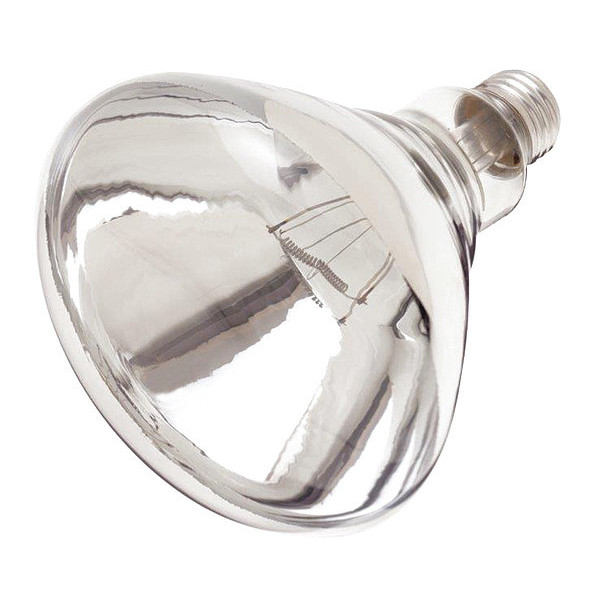 Satco 250 W R40 Incandescent - Clear Heat - 6000 Hours - Medium Base - 120V - Shatter Proof S4885