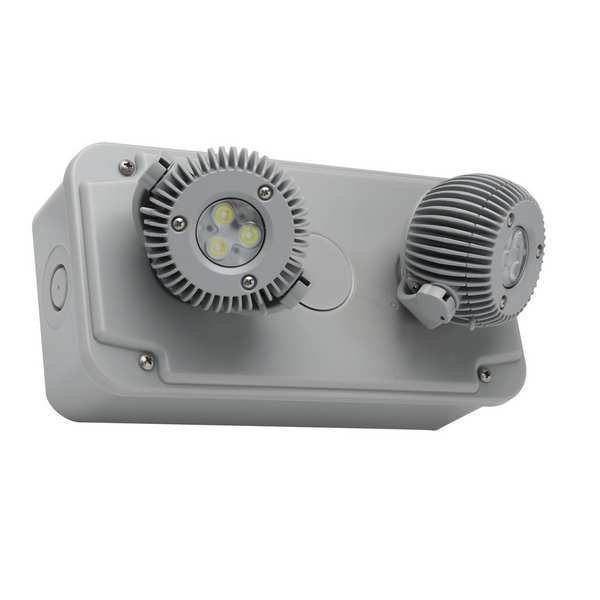Dual-Lite Remote Head, 12.8 V, LED, Polycb, Gray DYNRD-4X