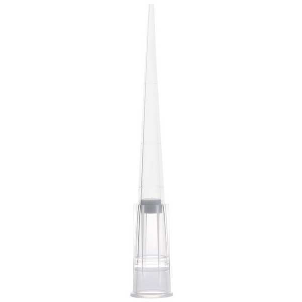 Globe Scientific Filter Pipette Tip, Polypropylene, PK1920 150915