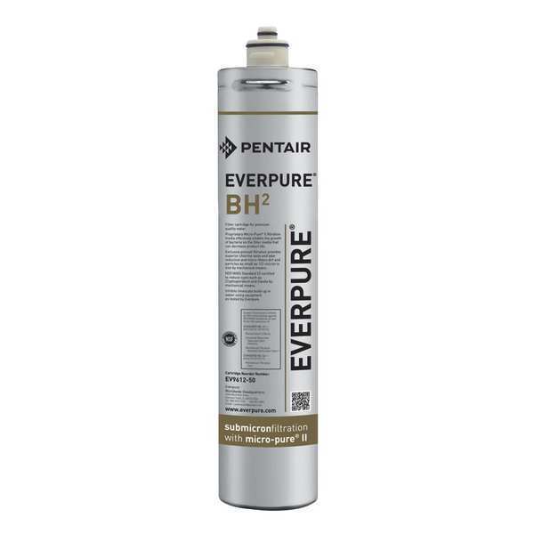 Everpure Quick Connect Filter, 0.5 gpm, 14 1/2 in H EV961250