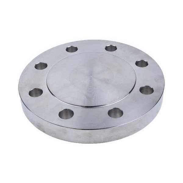 Guardianmade Blind Flange, 316L SS, 10" NPS FLS61RFBL1000