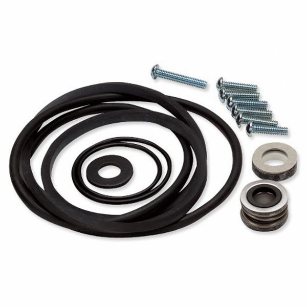 Flotec Seal and Gasket Kit FPP5000