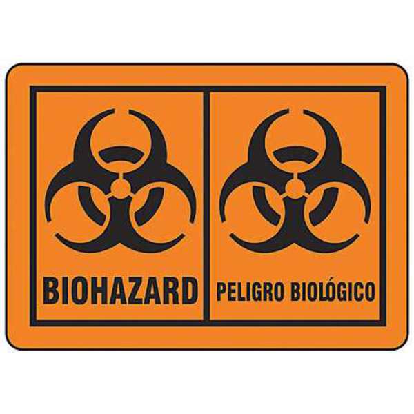 Brady Biohazard Label, 5 In. H, 3-1/2 In. W, PK25 31264LS