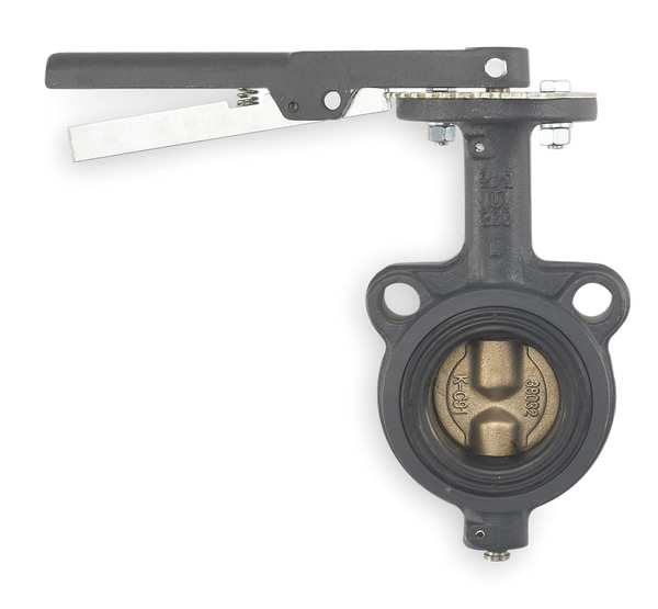 Milwaukee Valve Butterfly Valve, Wafer, 2 In, Cast Iron CW223E 2