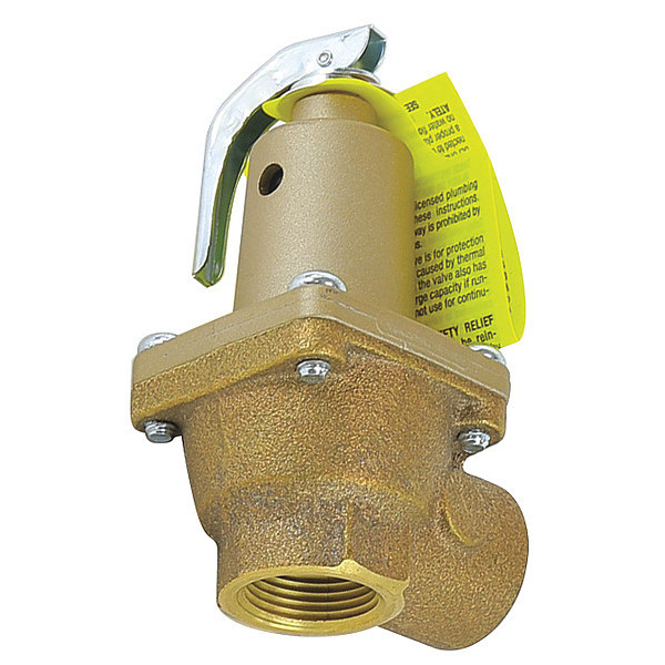 Watts Backflow Relief Valve, 45 psi, 875000 Btu 0274496