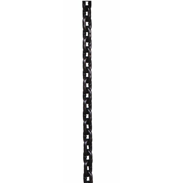 Dayton Load Chain Hoist GGS_56951