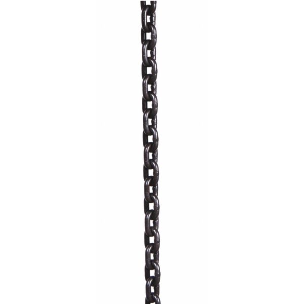 Dayton Load Chain Hoist GGS_56980