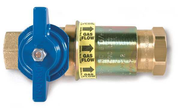 Dormont Shutoff Valve, Quick Disconnect, 1 In CF-100