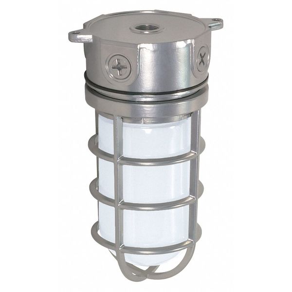 Nuvo 1-Light - 10in. - Industrial Style - Surface Mount with Frosted Glass - Metallic Silver Finish SF76-624