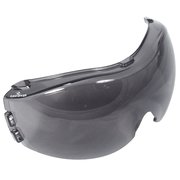 Radians Radians Cloak(TM) Dual Mold Goggle Replacement Lens DMGRL-21