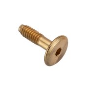 AMPG 1/4"-20 x 23 mm Hex Extra Wide Machine Screw, Brass Plated Steel Z4479-BR