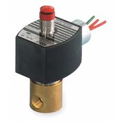 Redhat 12V DC Stainless Steel Solenoid Valve, Universal, 1/4 in Pipe Size EF8314G301