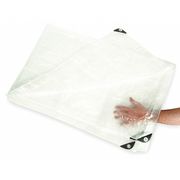 Zoro Select 7 ft 4 in x 9 ft 6 in Standard Duty 5.1 Mil Tarp, Transparent, Polyethylene 2ZJ51