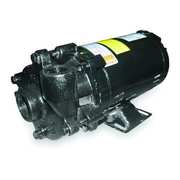 Dayton Cast Iron 1/3 HP Centrifugal Pump 115/230V 2ZWN9