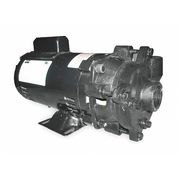 Dayton Cast Iron 1 HP Centrifugal Pump 115/230V 2ZWP5
