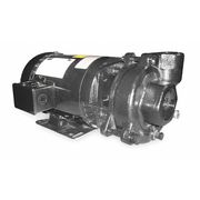 Dayton Cast Iron 3 HP Centrifugal Pump 208-230/460V 2ZWR3