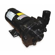 Dayton Cast Iron 1/2 HP Centrifugal Pump 208-230/460V 2ZXL8