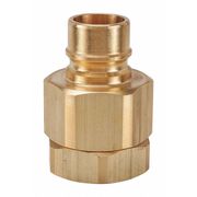 Snap-Tite Hydraulic Quick Connect Hose Coupling, Brass Body, Ball Lock, 1/2"-14 Thread Size, H Series BVHN8-8F