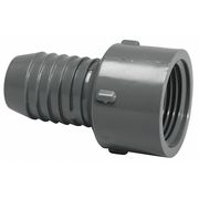 Zoro Select PVC Female Adapter, Insert x FNPT, 3/4 in Pipe Size 1435-007