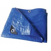 Zoro Select 9 ft 6 in x 11 ft 4 in Standard Duty 3.2 Mil Tarp, Blue, Polyethylene 22JC27