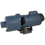 Flint & Walling Booster Pump, 2 hp, 120/240V AC, 1 Phase, 1-1/2 in NPT Inlet Size, 3 Stage, 98 psi Max Pressure CJ101C201AB