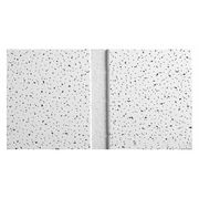 Armstrong World Industries Fine Fissured Ceiling Tile, 24 in W x 48 in L, Angled Tegular, 15/16 in Grid Size, 10 PK 1761C