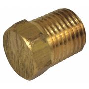 Dayton Pipe Plug, 1/4 NPT PP60155G