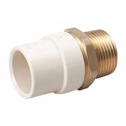 Zoro Select CPVC CPVC to Brass Adapter, 3/4" Pipe Size, Socket CTS x MNPT Brass 164-304NL