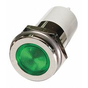 Zoro Select Flat Indicator Light, Green, 12VDC 24M165